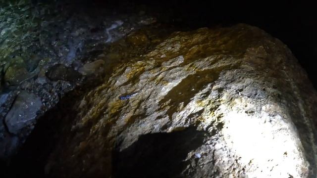 5b07d88a0806acc8227b5f709d9b219e