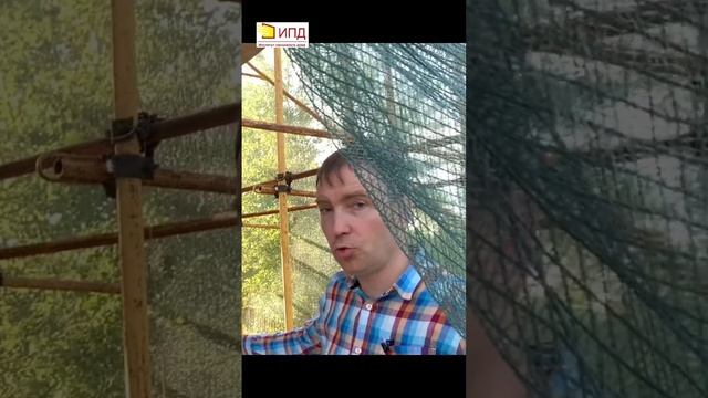 19a84c3ecc99bd58985b5f306bf6ba35