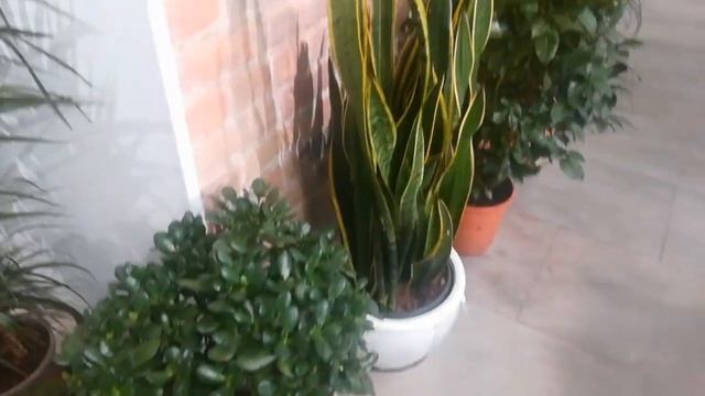 Ассортимент цветов в магазине FLOWERS STORE. ???☺️?