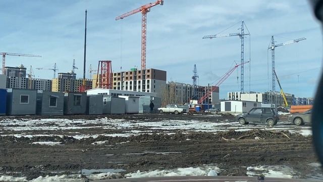 Воронеж. Яблоневые сады. Акция. Выбор, ДСК.