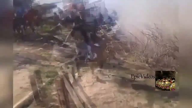 F01c82f21987b16cee7ae57fad17fdf9