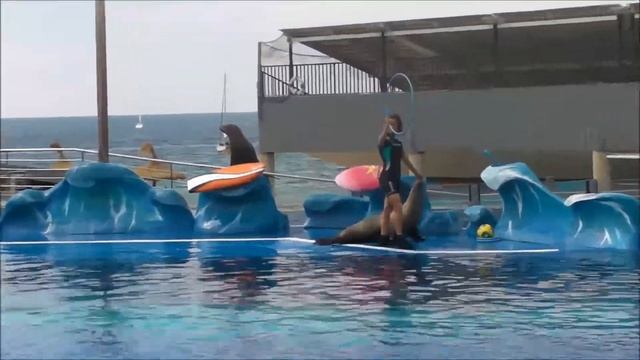 МАЙОРКА #5: Шоу морских львов в дельфинариуме Маринеланд / Sea Lions Show In Marineland Mallorca