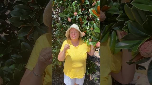 Загадочные временные лежания и программирование мозга