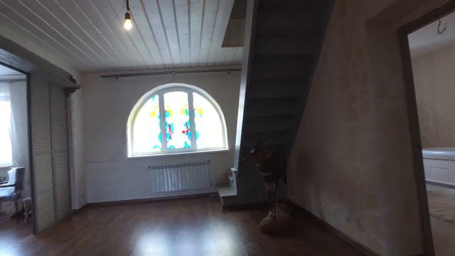 Петрушино новое видео