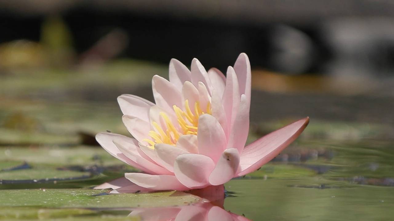 МТВ Волгоград