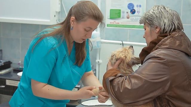 Bb16fc2bdb224b5194b090ecbf498899