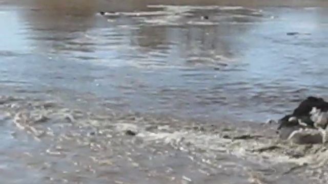 81b8dabf31ec93c66c358a24591213f6