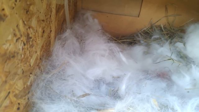 4775e78c5df470517ed76209f899d72a