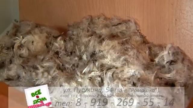 Всё в дом. Выпуск 28.03.2015