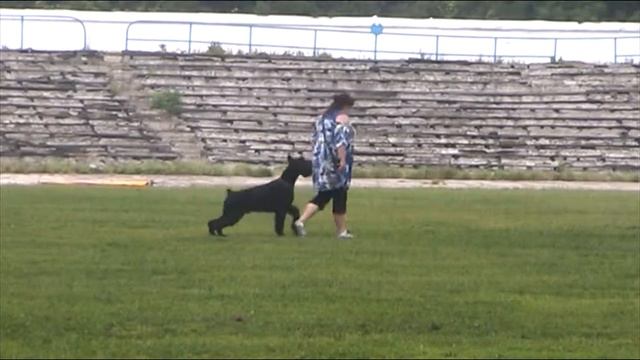 6228be891312b008daa2641482c5aa7a