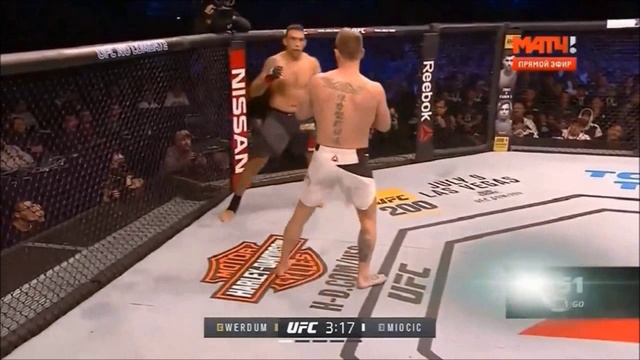 вердум обзор