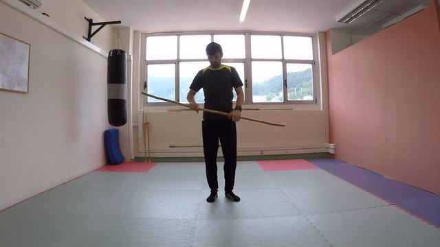 Занимаюсь дома сам. Упражнения с палкой 2.