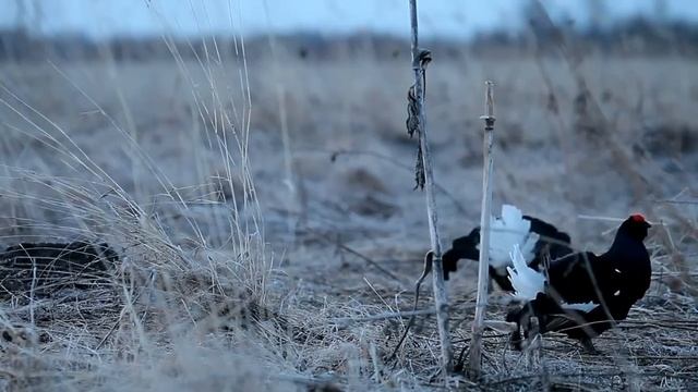 36ea5073110562317b197e8f86a6dd31