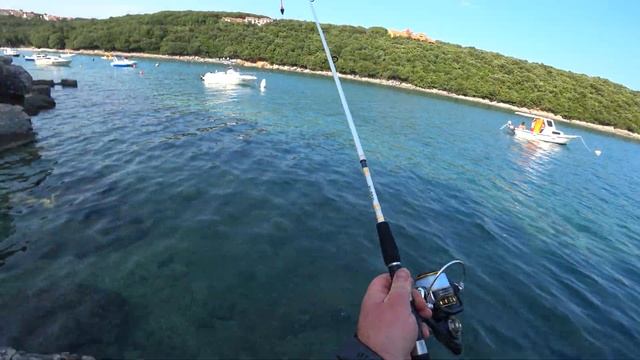 B635bf1caa8c9e30f248ac1377c92cdc