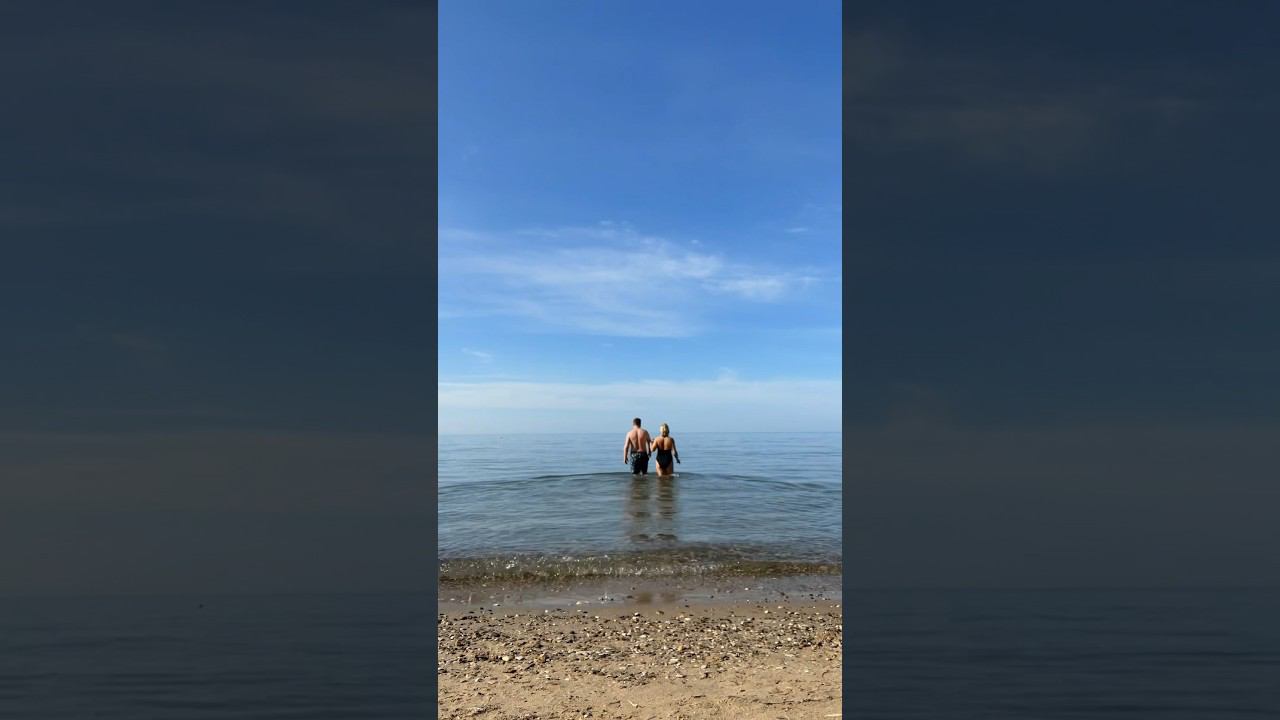 Утренний заплыв к дельфинам