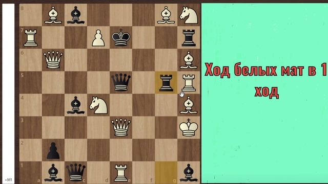 Шахматы. Интересный этюд мат в 1 ход
