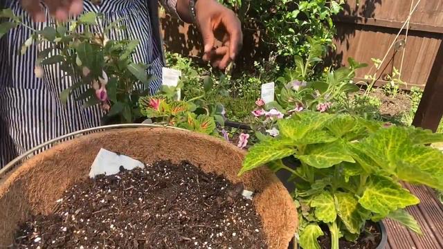 The Perfect  #HangingBasket For Your #SummerGarden