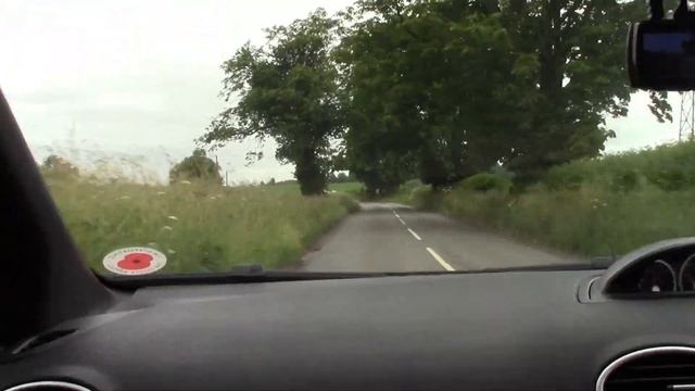 Panther Black MK2 Focus ST