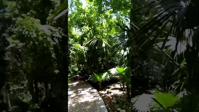 ВКУСНО И ТОЧКА ОБЕД В МЕКСИКЕ ЗА 1$ ИЮНЬ ИЮЛЬ 2022 ГОТОВИМ РАМЕН МЕКСИКАНСКИЙ 7/11 РОЛТОН СУП ЛАПША