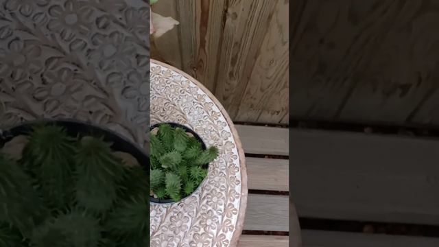 Abb7cf8427cfec4bc1eefaefc7e2123d