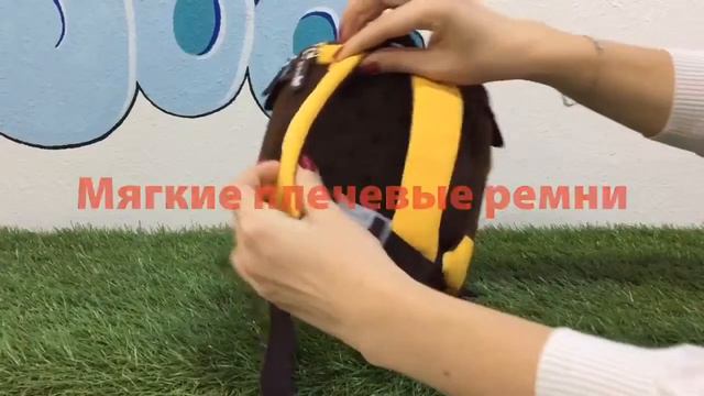 Львенок Симба