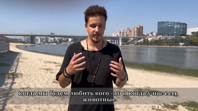 Много животных = мало отношений?