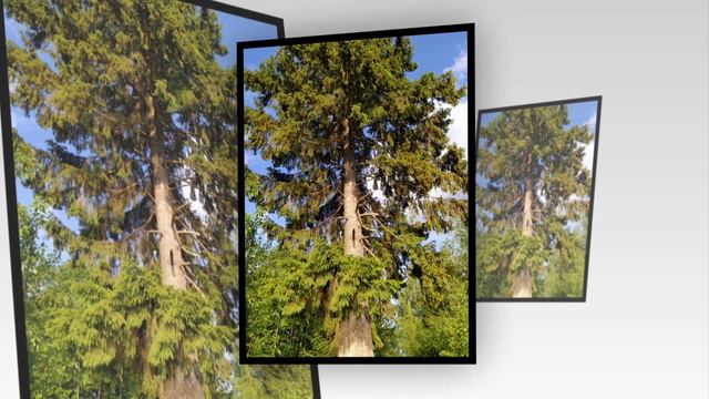 🔥 Жаркий летний клип на одну из самых зажигательных песен