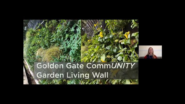 2020 Garden Tour CNPS Yerba Buena Amber Hasselbring