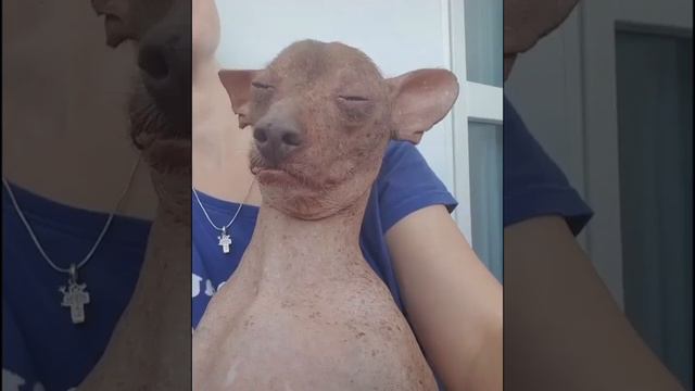 моё состояние когда утром на работу