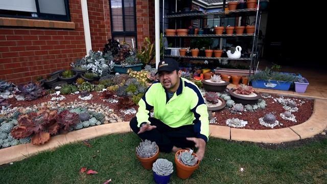 #67 You Can't Spell PLANTS Without PANTS