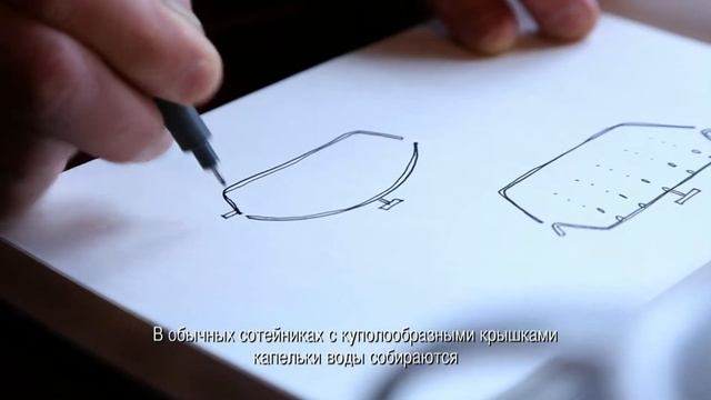 Уникальные кокоты серии Chistera Staub