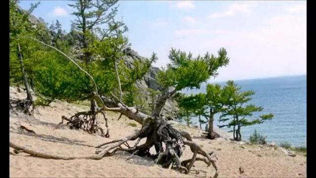 24da431db8a2a7b3d73e31a108c4492b