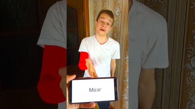 А МОГЛО БЫТЬ ИНАЧЕ?