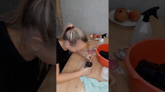 Сею, семяна цветов для рассады! Первый  опыт 😊🌻🌺⚘🌱