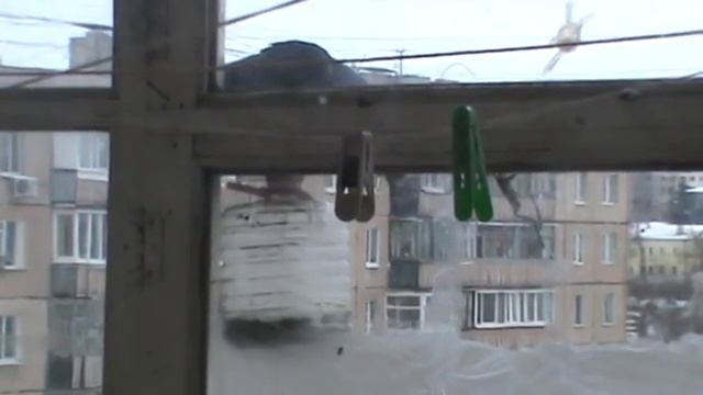 Голубь клюёт семечки из кормушки