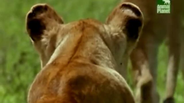 34a61e84317860ccffb50b73341565ac