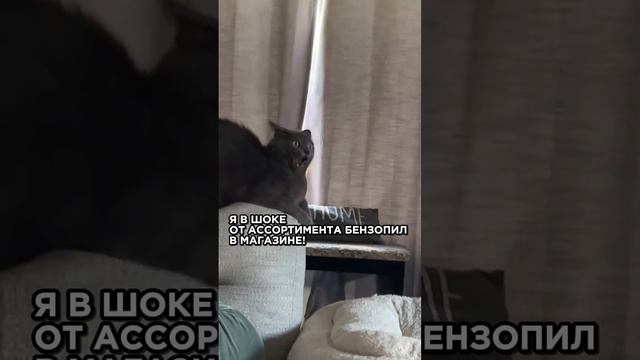 А вы тоже теряетесь в магазине, когда ассортимент слишком широкий?