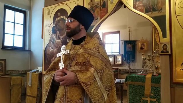 Проповедь о.Димитрия 27.11.2022 притча о самарянине и рождественском посте