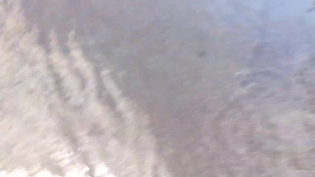 GARTEN OF BANBAN 7,JUMBO JOSH,CIEFPIGSTAR,RAINBOW FRIENDS,JESTER,OPILA,BLUE,ORANGE,RED,CYAN,NABNAB