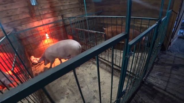 685b2160a74d9b5a064959a51ab1747f