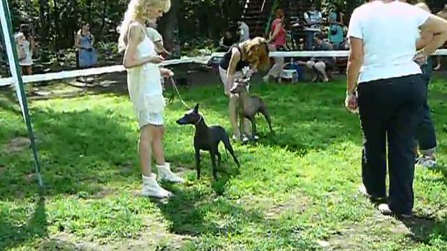 моно ксоло 23