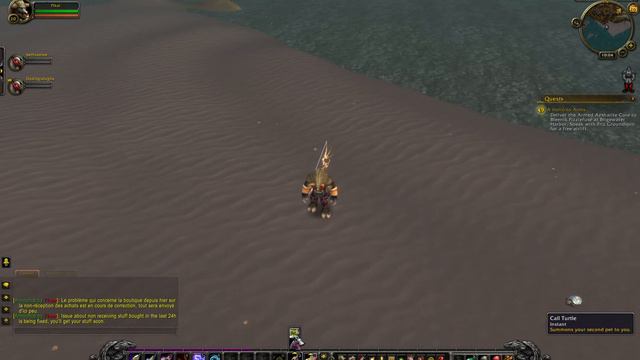 Remove Pet - World Of Warcraft