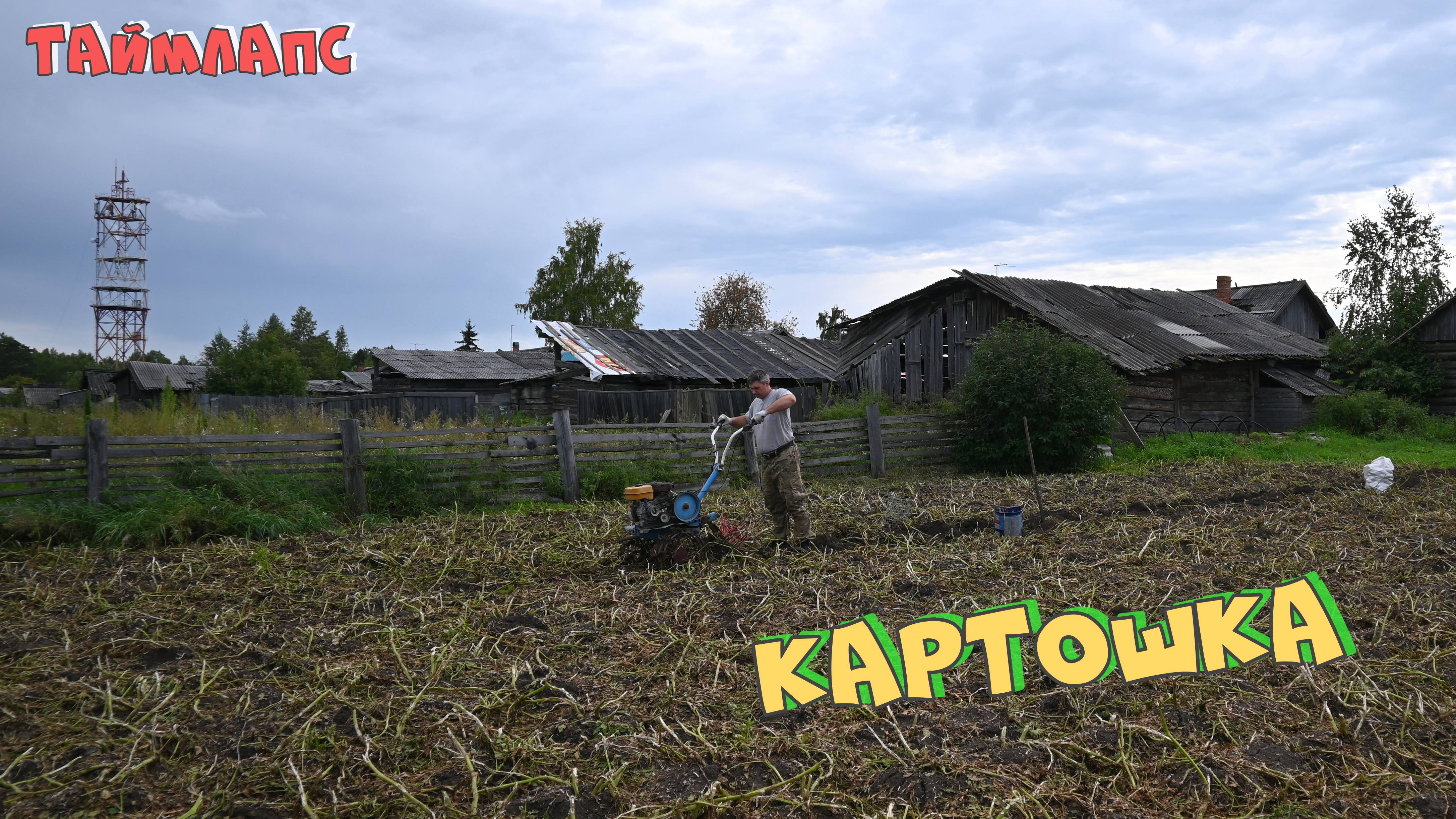 Картошка. Таймлапс