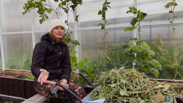 О чём думает художник, когда он в роли огородника? В теплице с Татьяной Букреевой