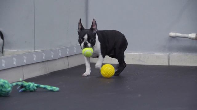 70f40a09e72c00596a7ecb3264bc11a5