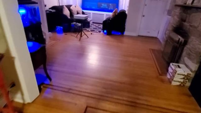 Paint Yourself An Amazing ALR Projection Screen Inside Or Out!