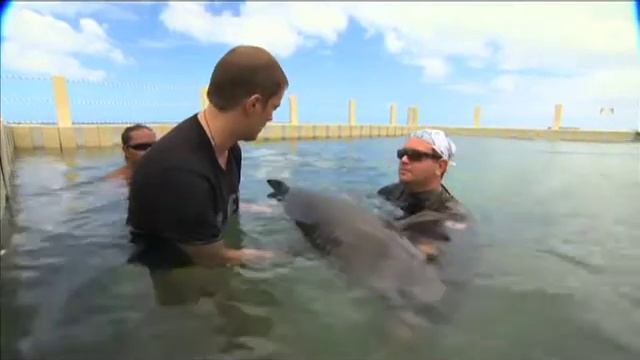 Марианская впадина