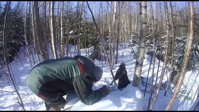 240c2c6289af398abbcc0707f21411f6