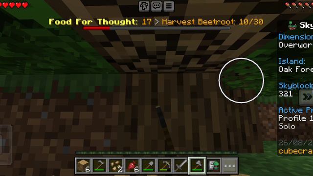 выживание на скайблоки в Майнкрафт