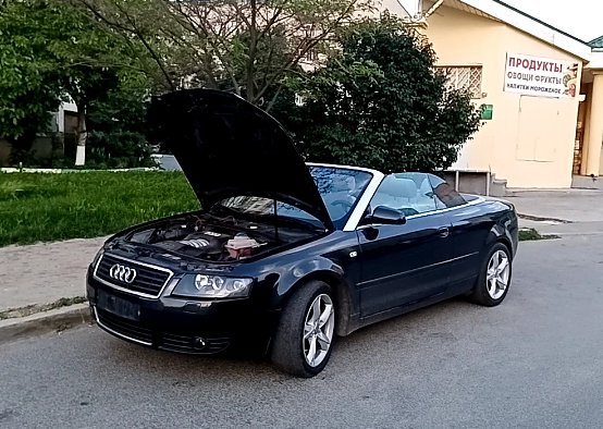 Андрей Медведев